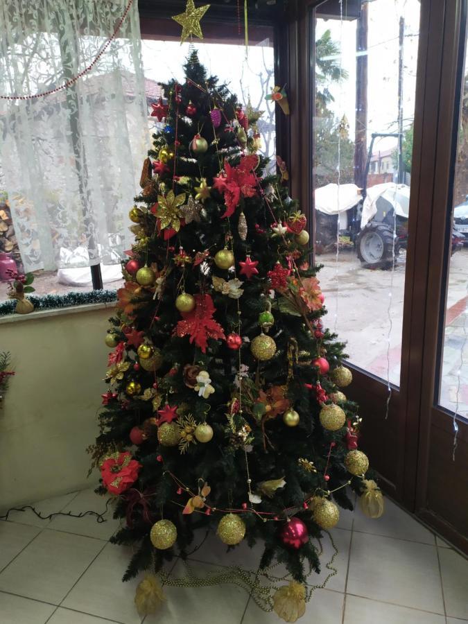 Appartamento Σετσκοσ Ζησησ Káto Loutrákion Esterno foto